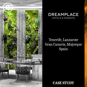 Como o Dreamplace Hotels transformou a IA num sonho pleno de reservas… 