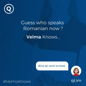  Romanian-speaking chatbot for hotels and resorts
