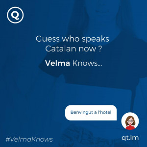  Catalan-speaking chatbot for hotels and resorts