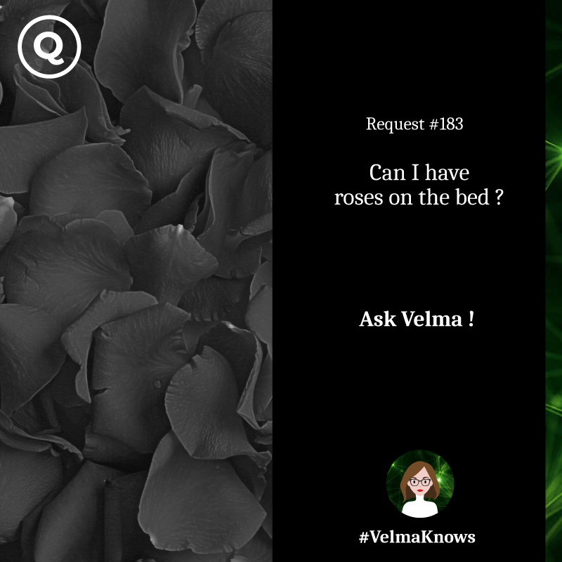  AI chatbot for hotels provides information about room request