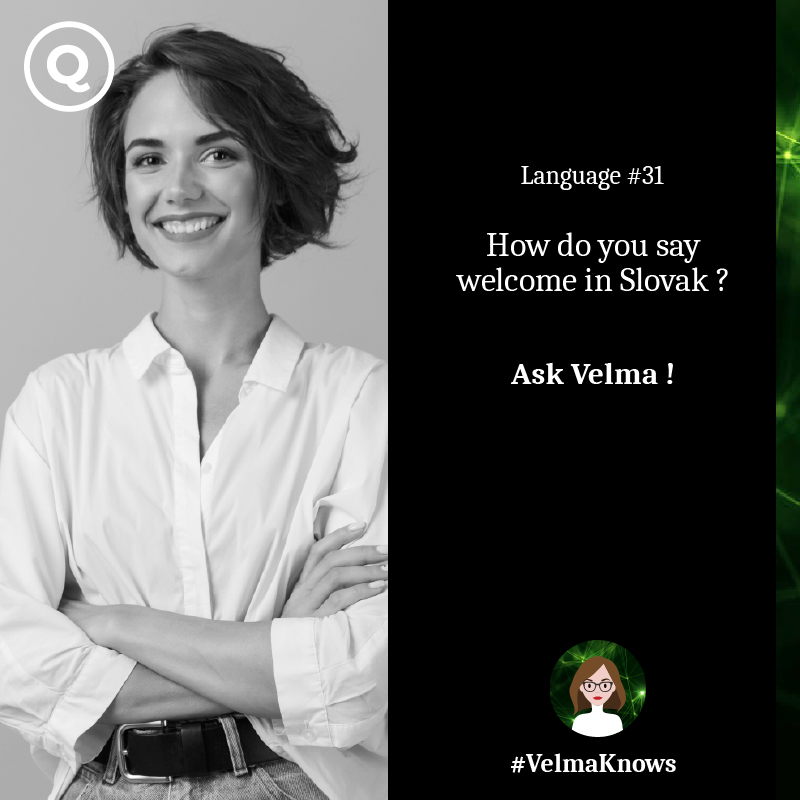  AI chatbot for hotels speaks Slovak